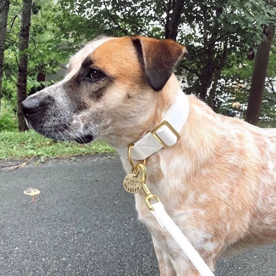 White Pearl Gold Collar & Leash Set