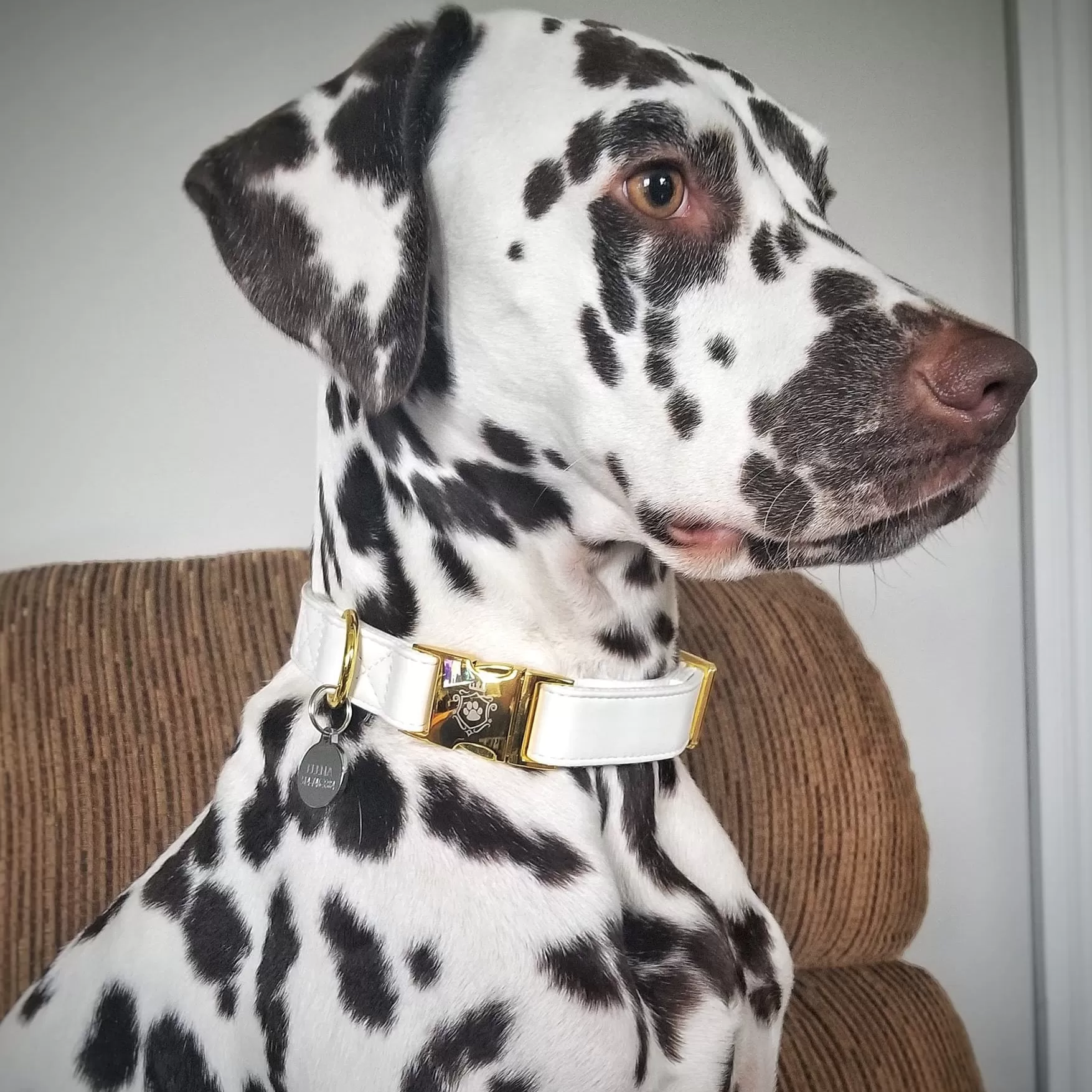 White Pearl Gold Collar & Leash Set